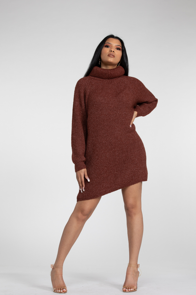 Chardonnay Turtleneck Dress