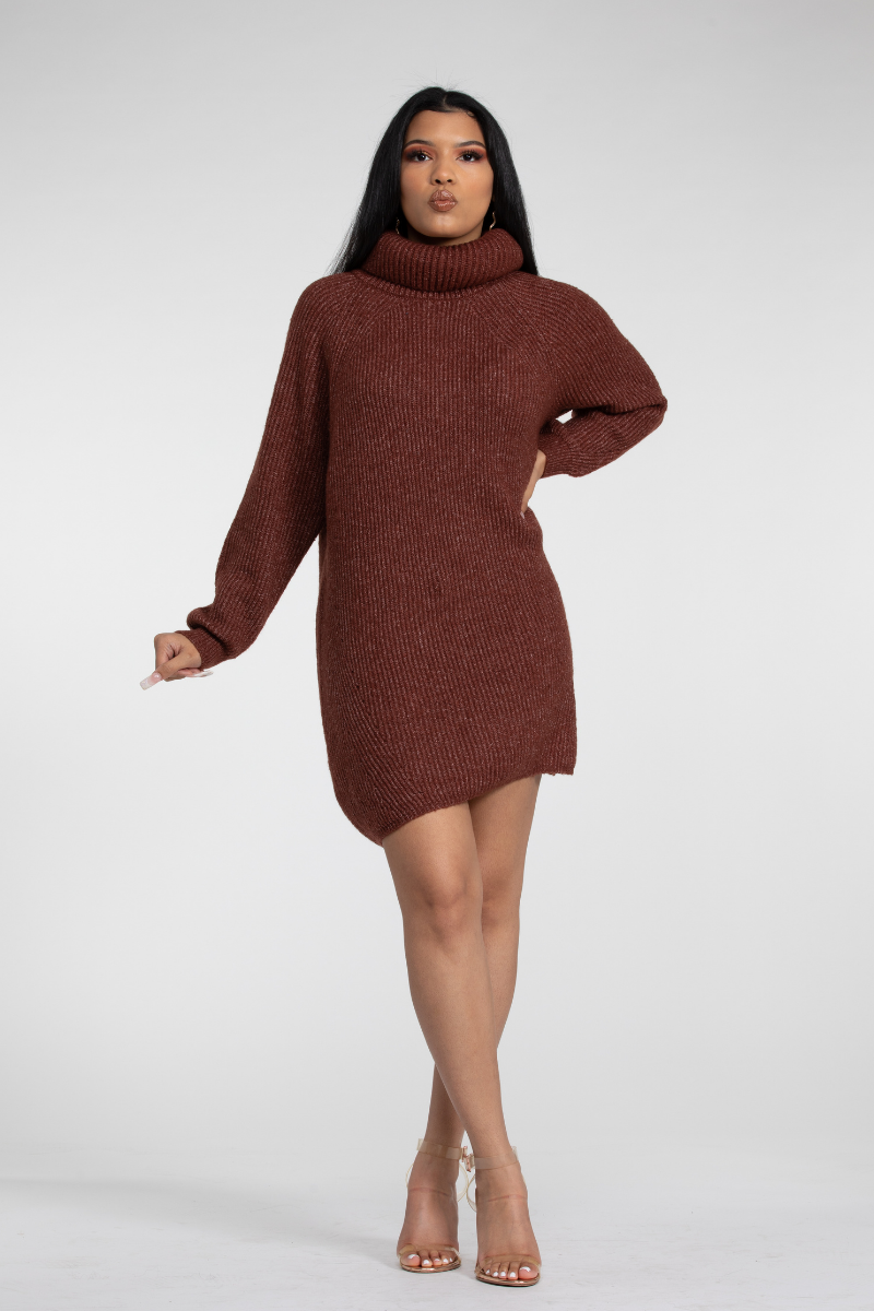 Chardonnay Turtleneck Dress